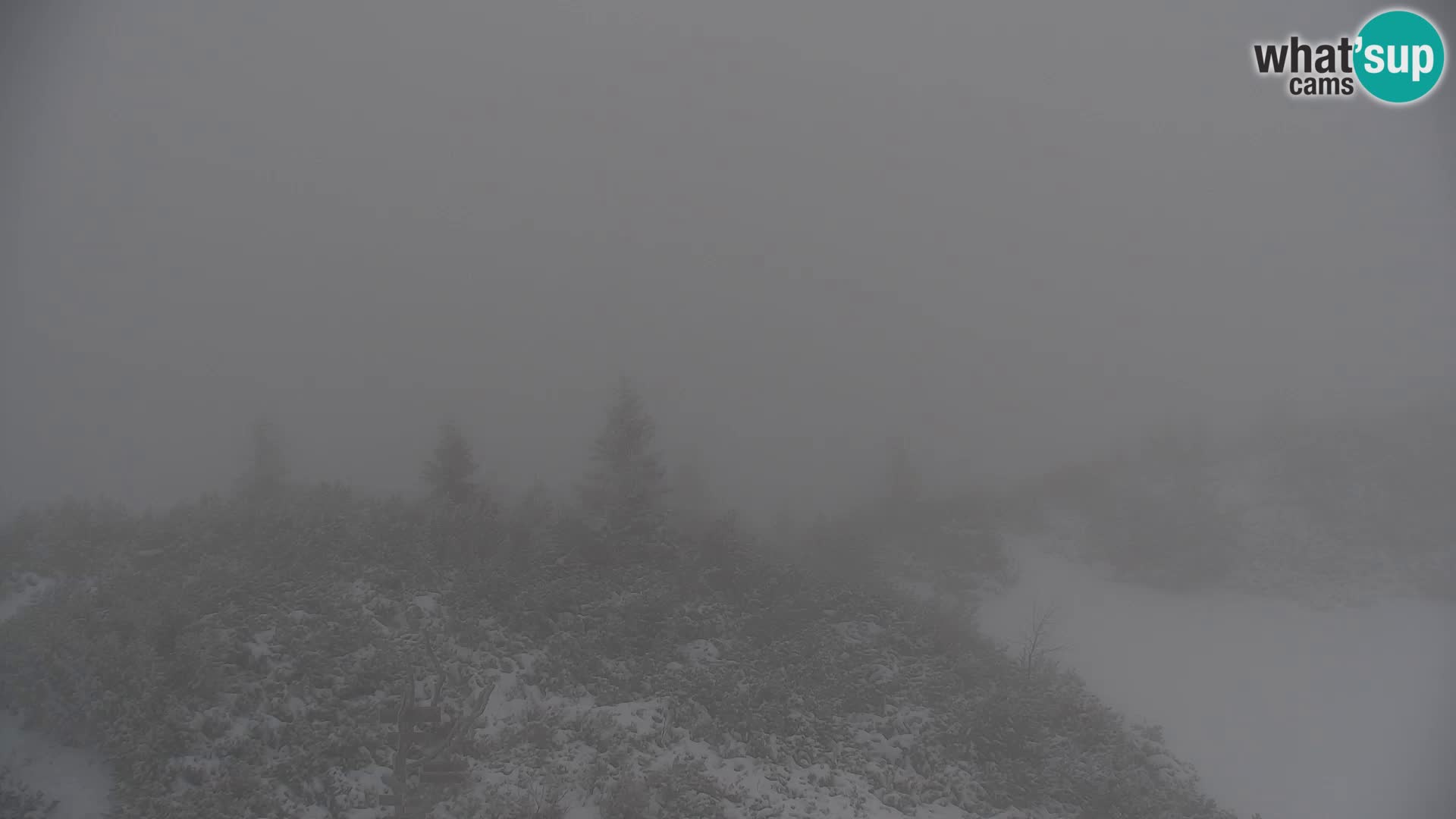 Velika Planina | Gradišče