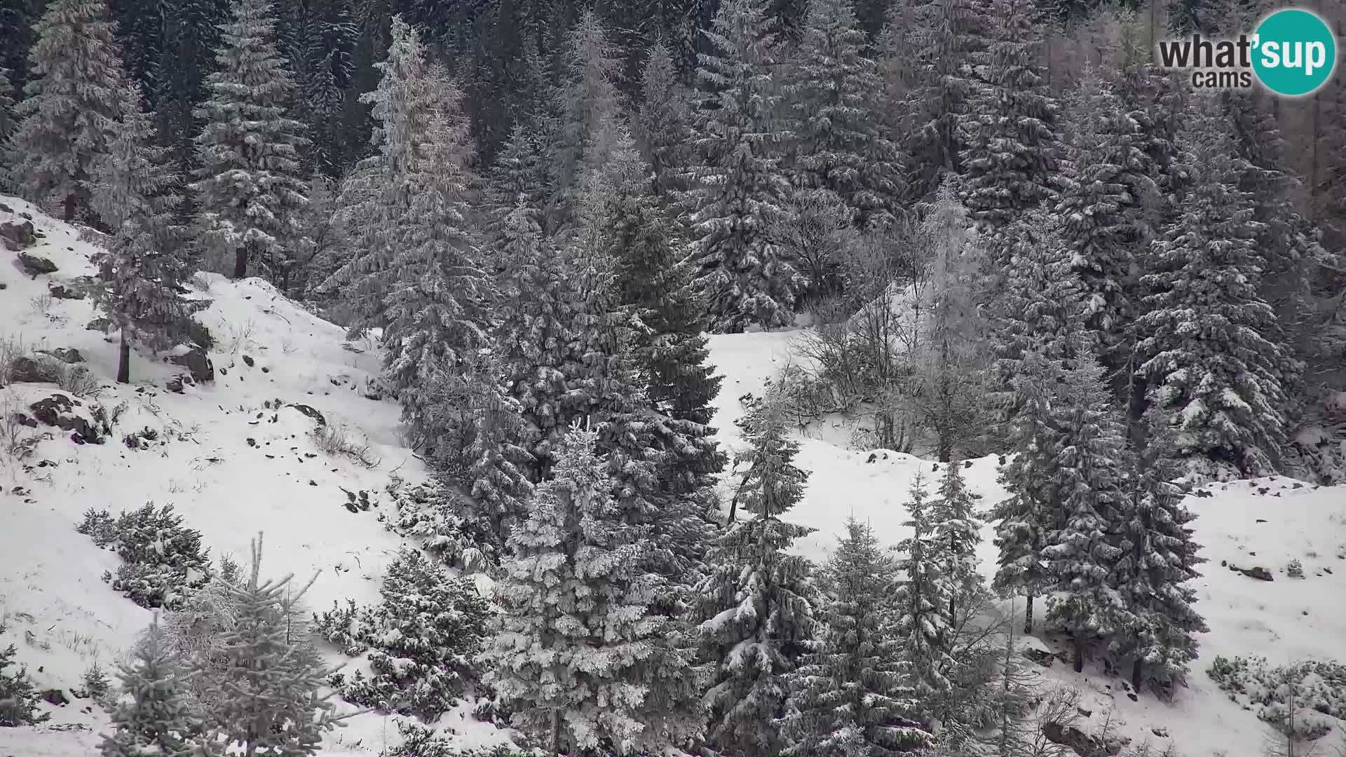 Velika Planina | Gradišče