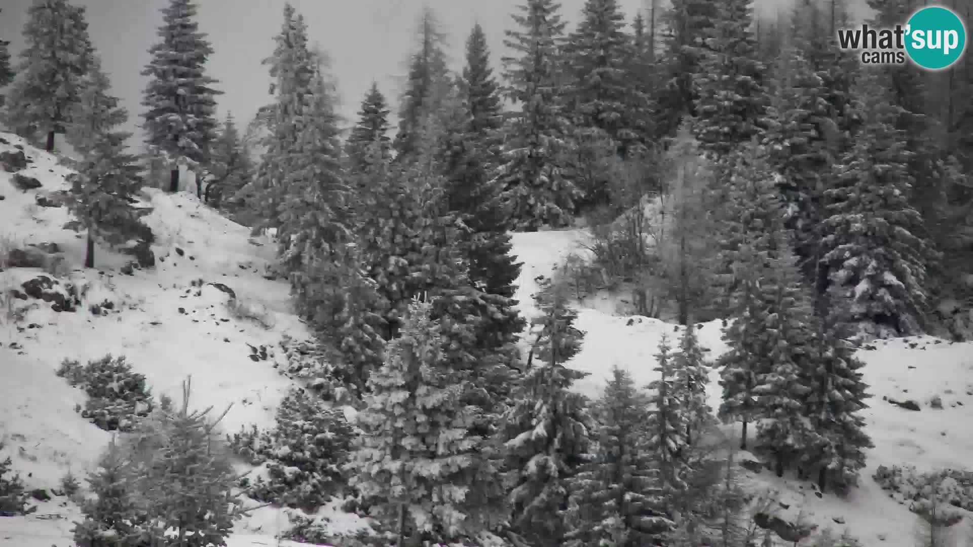 Velika Planina | Gradišče