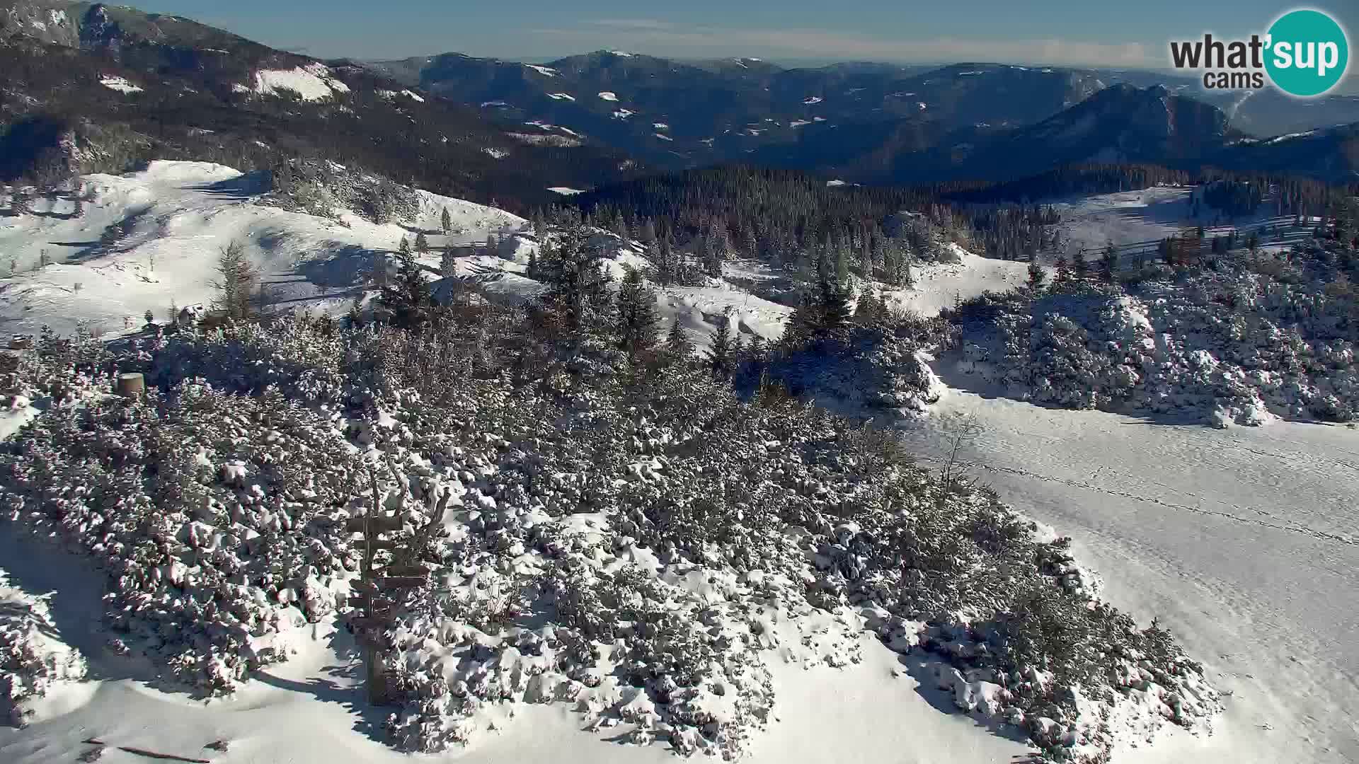 Velika Planina | Gradišče