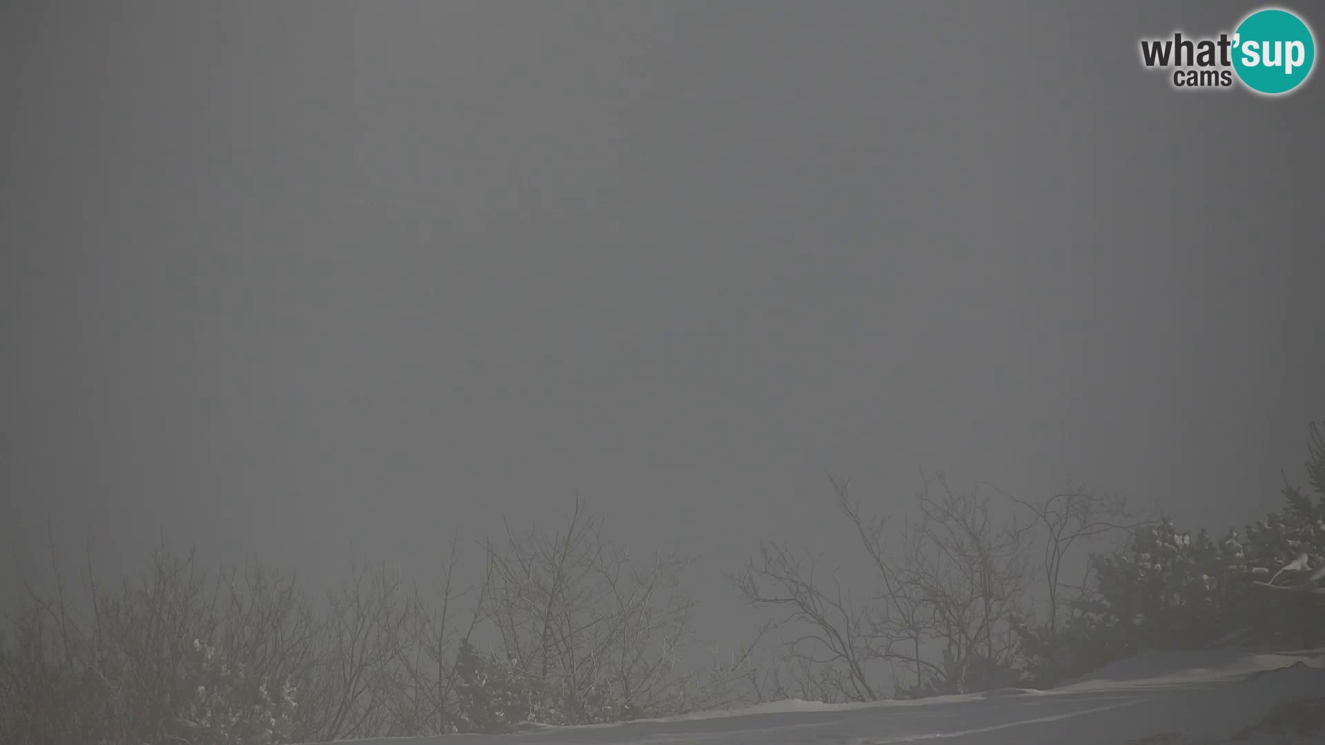 Velika Planina | Gradišče