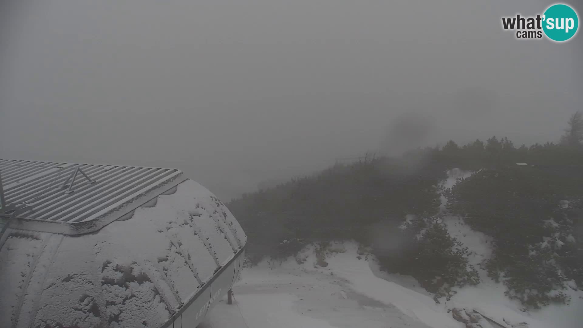 Velika Planina | Gradišče