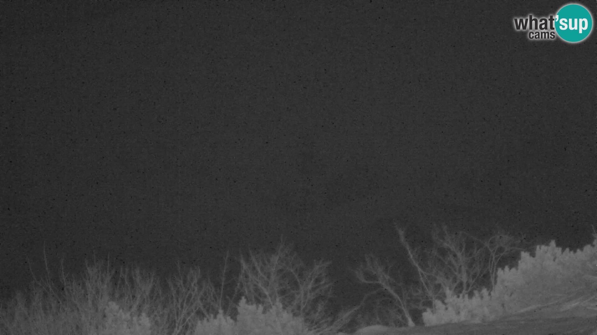 Velika Planina | Gradišče