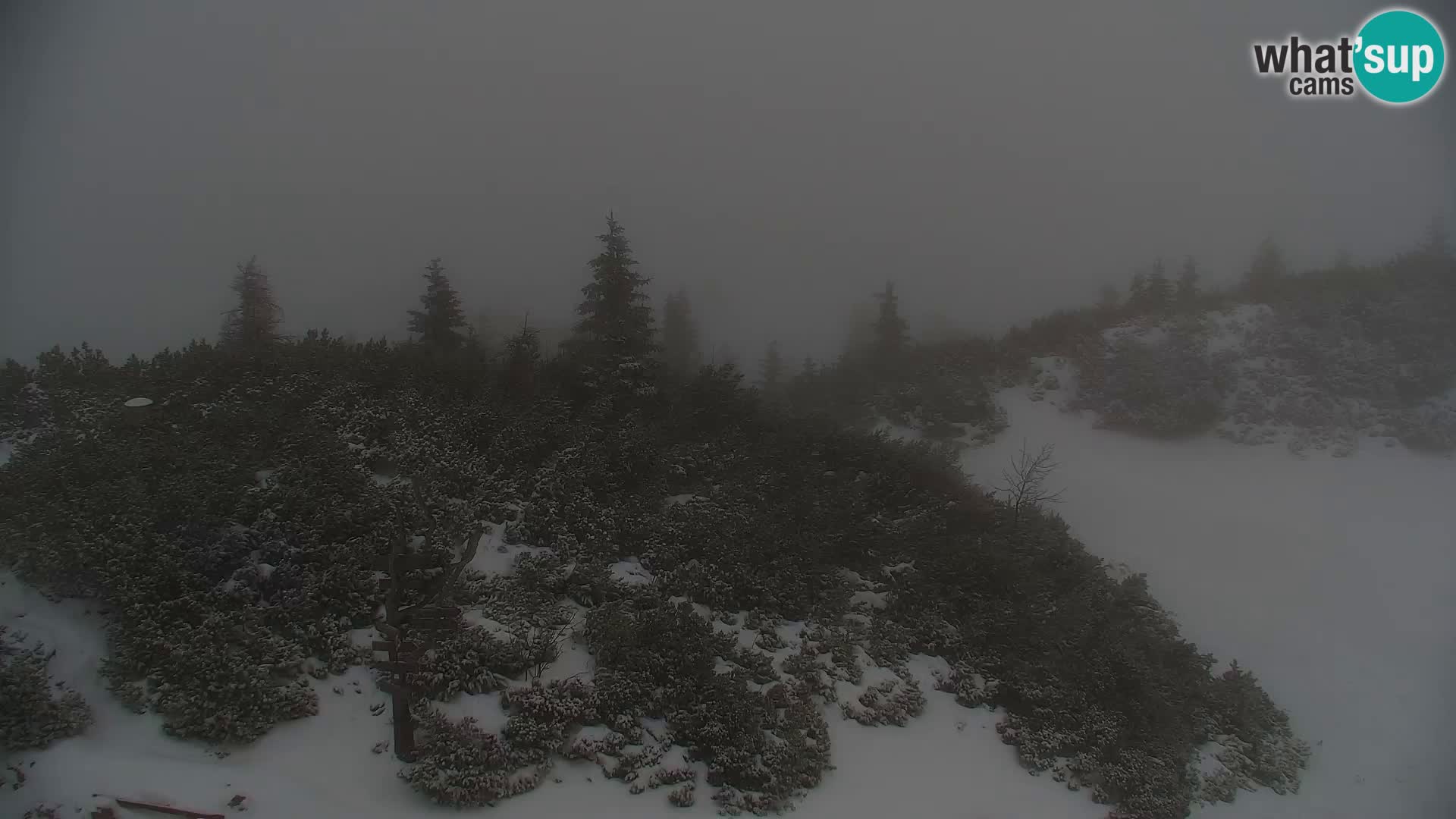 Velika Planina | Gradišče