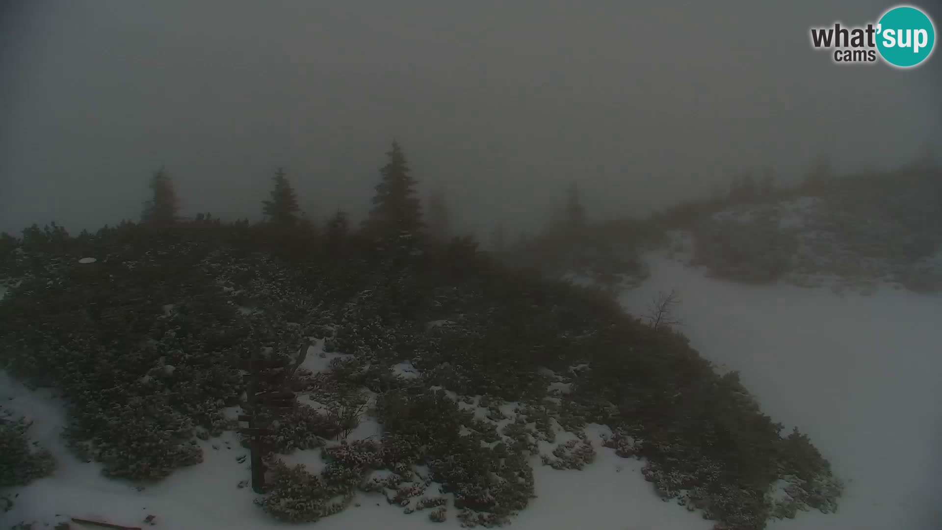Velika Planina | Gradišče
