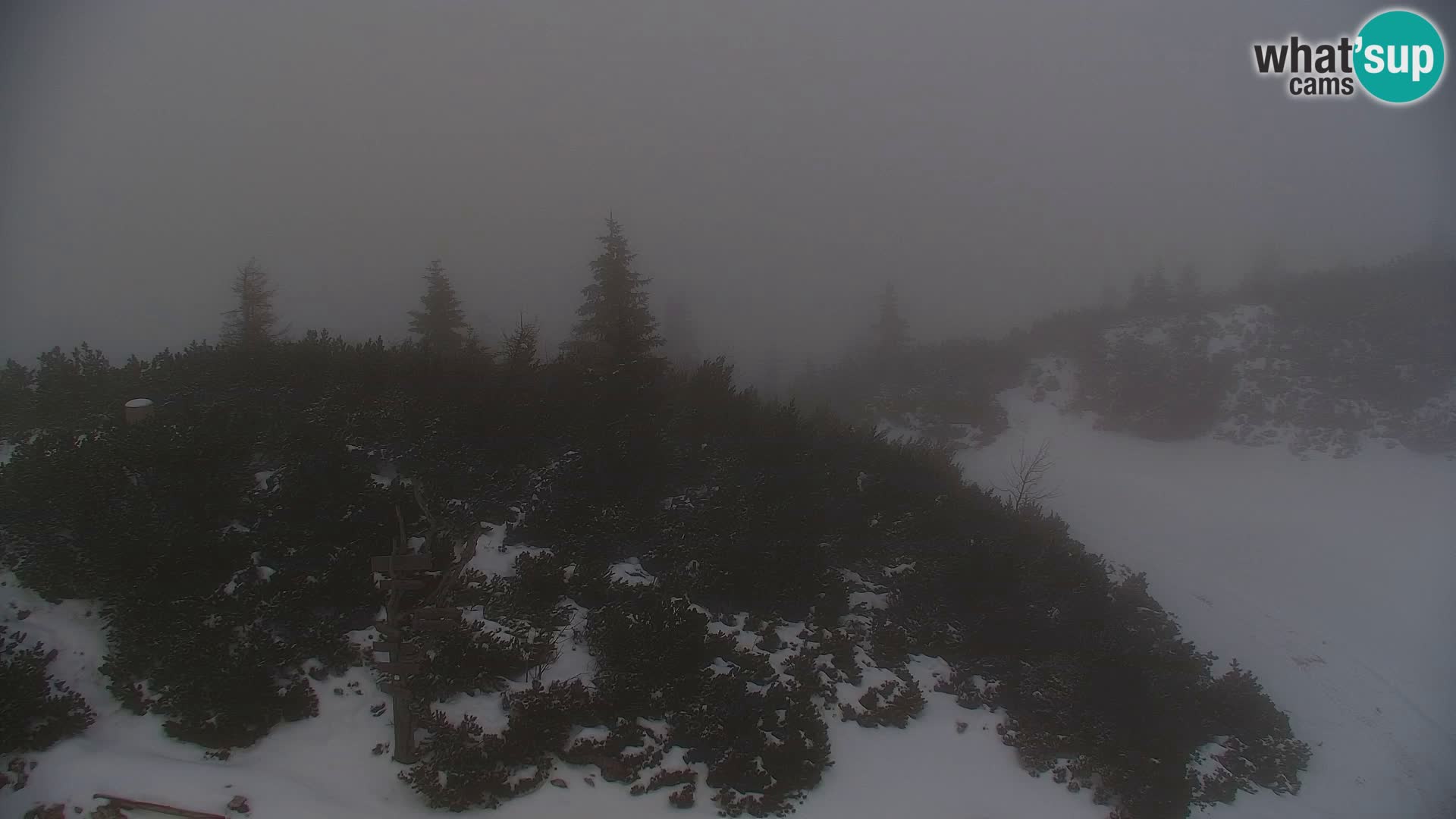 Velika Planina | Gradišče