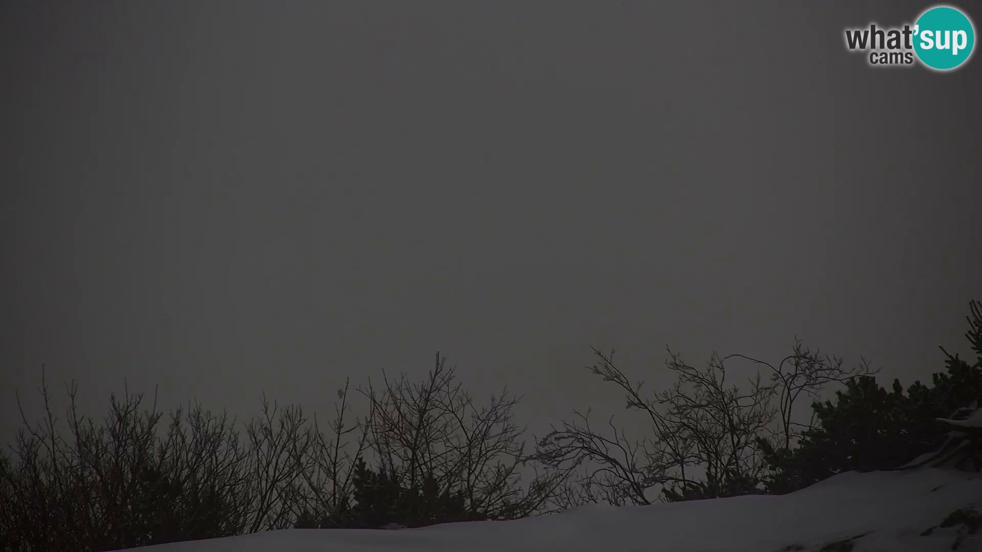 Velika Planina | Gradišče