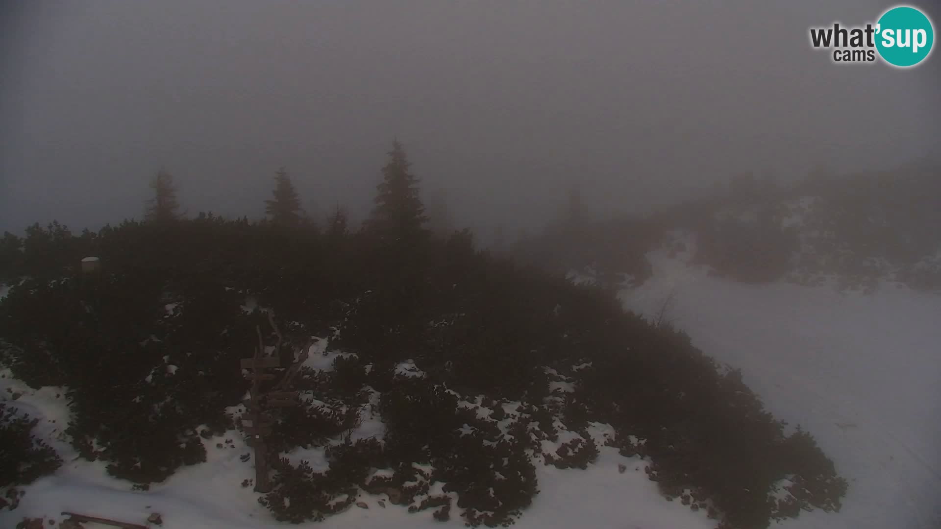 Velika Planina | Gradišče