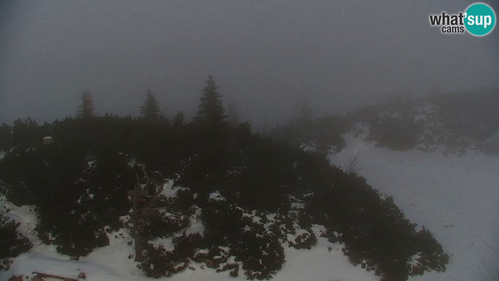 Velika Planina | Gradišče