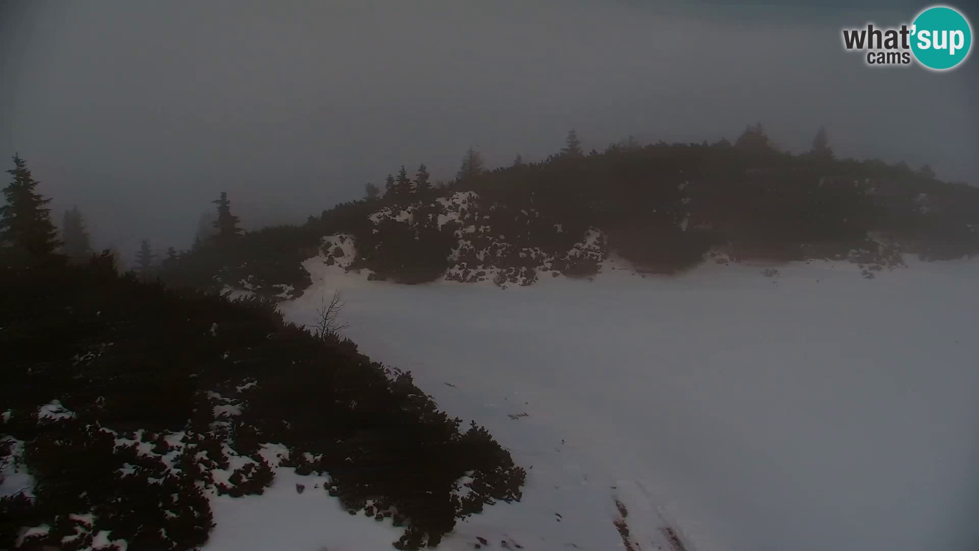 Velika Planina | Gradišče