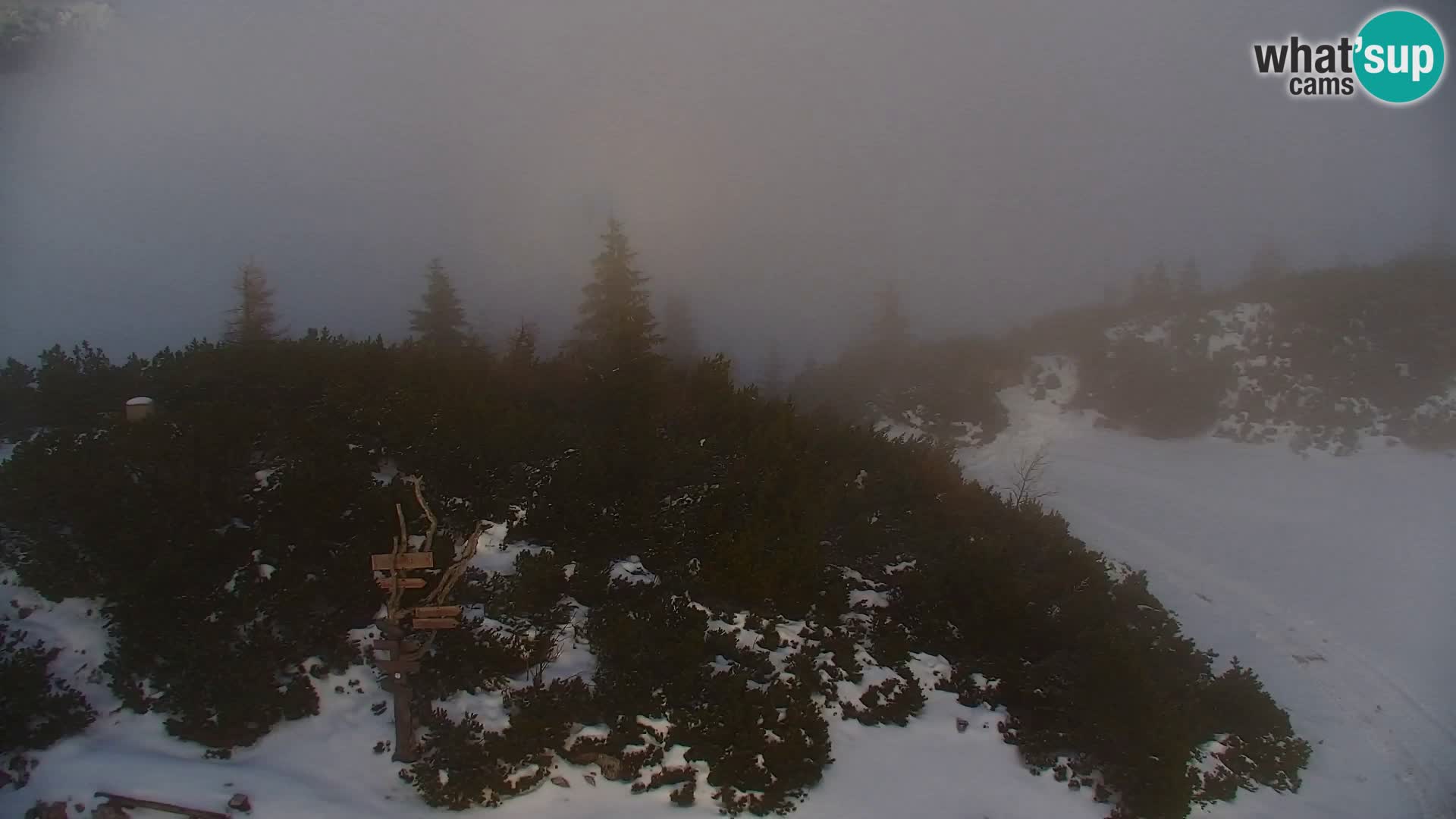 Velika Planina | Gradišče