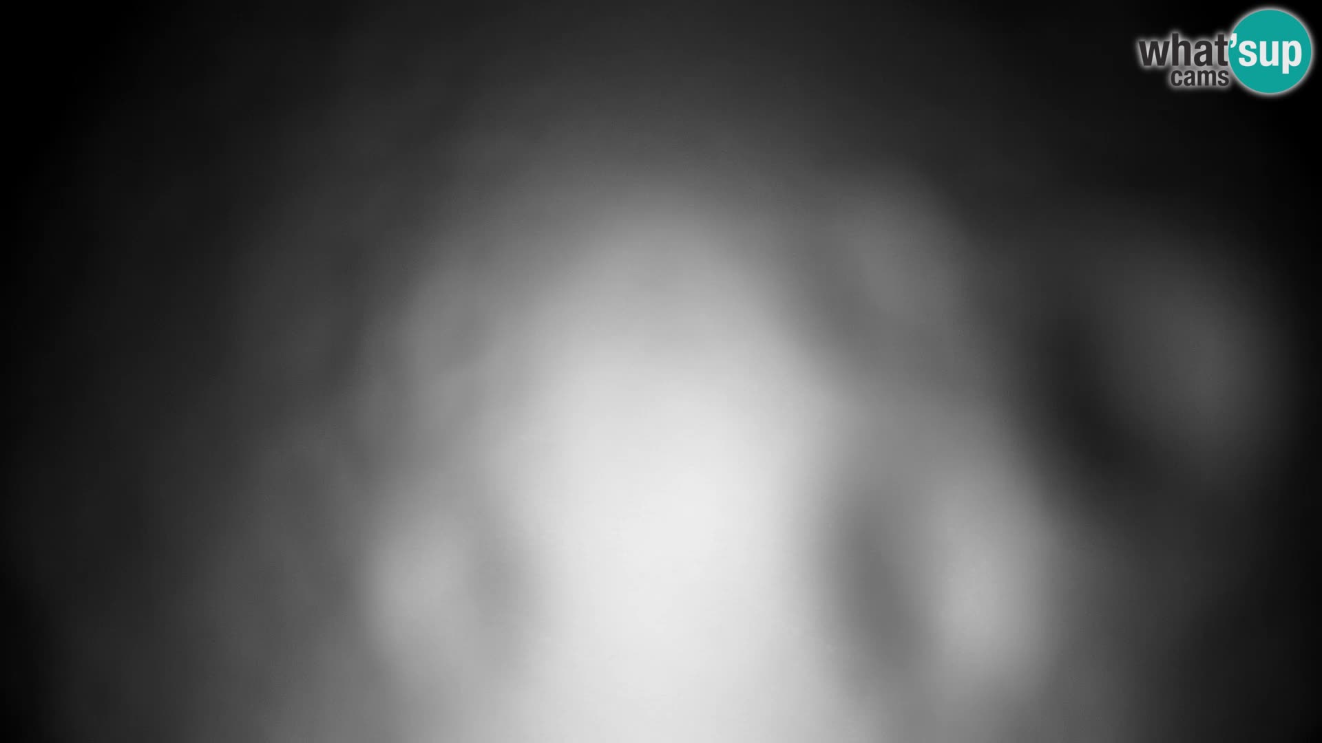 Velika Planina | Gradišče