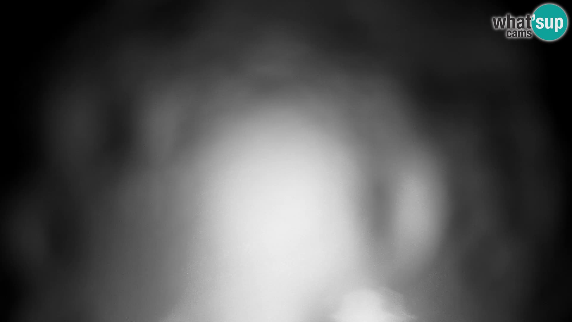 Velika Planina | Gradišče