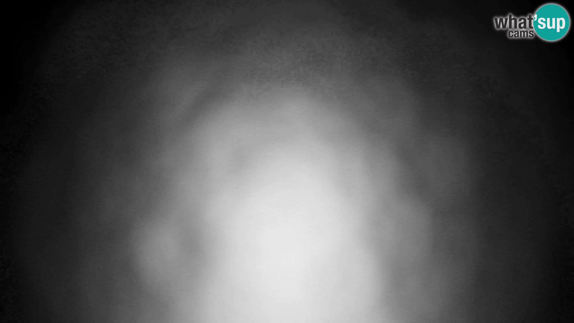 Velika Planina | Gradišče