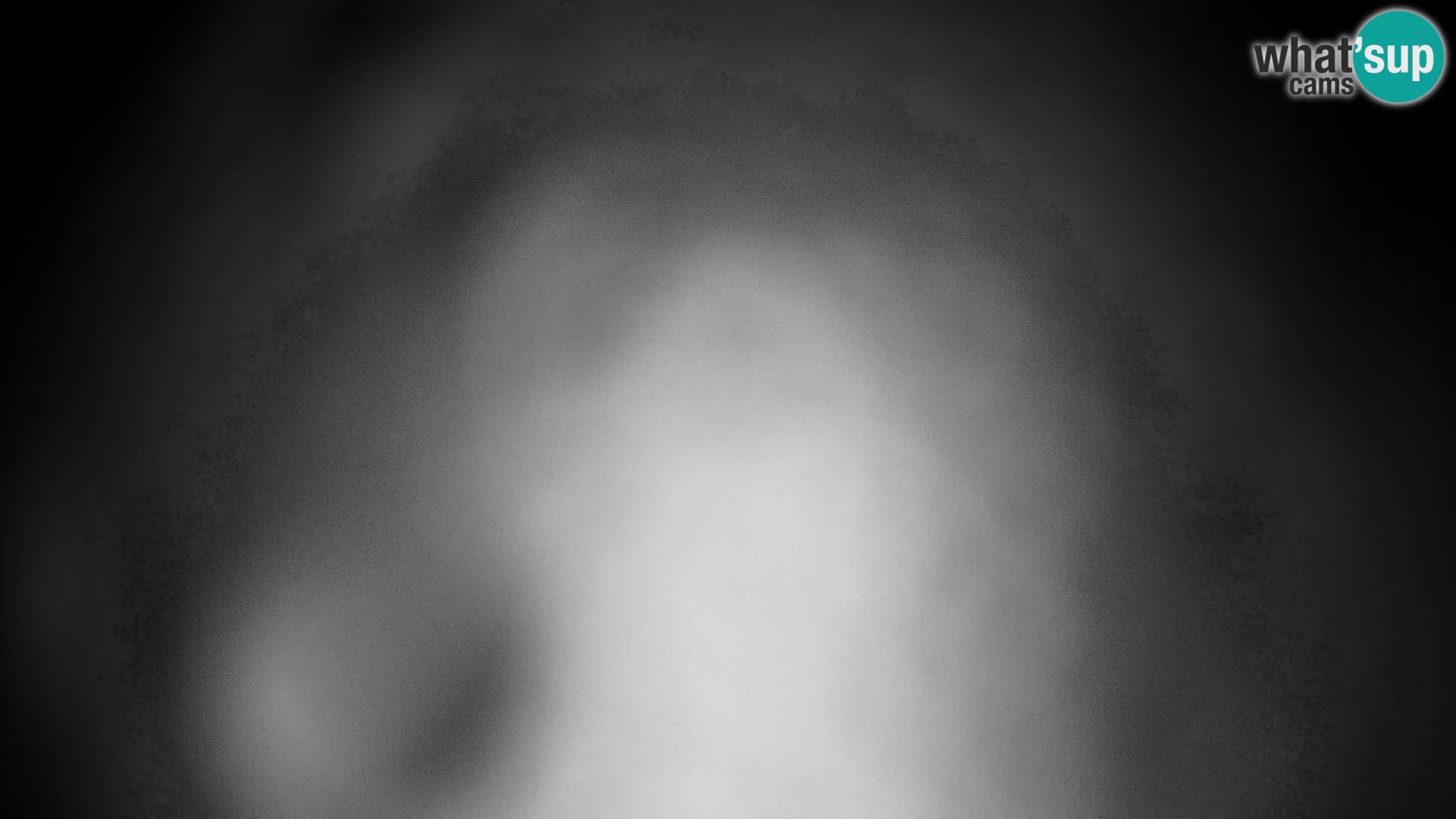 Velika Planina | Gradišče