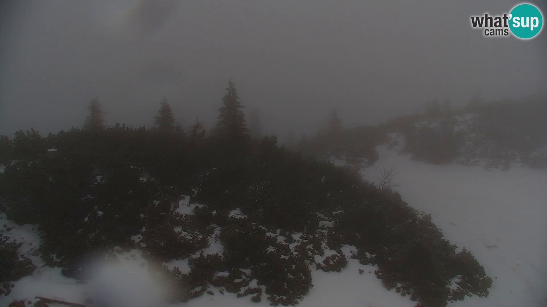Velika Planina | Gradišče