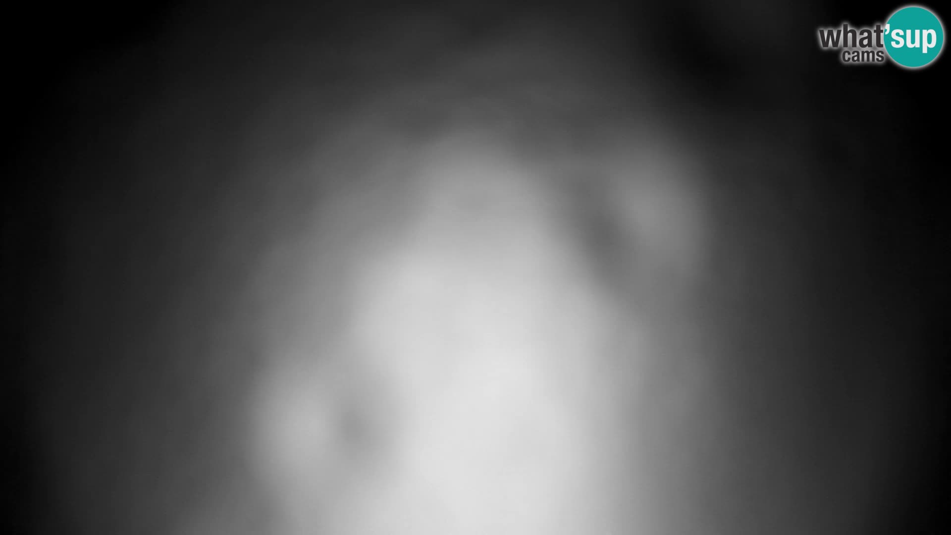 Velika Planina | Gradišče