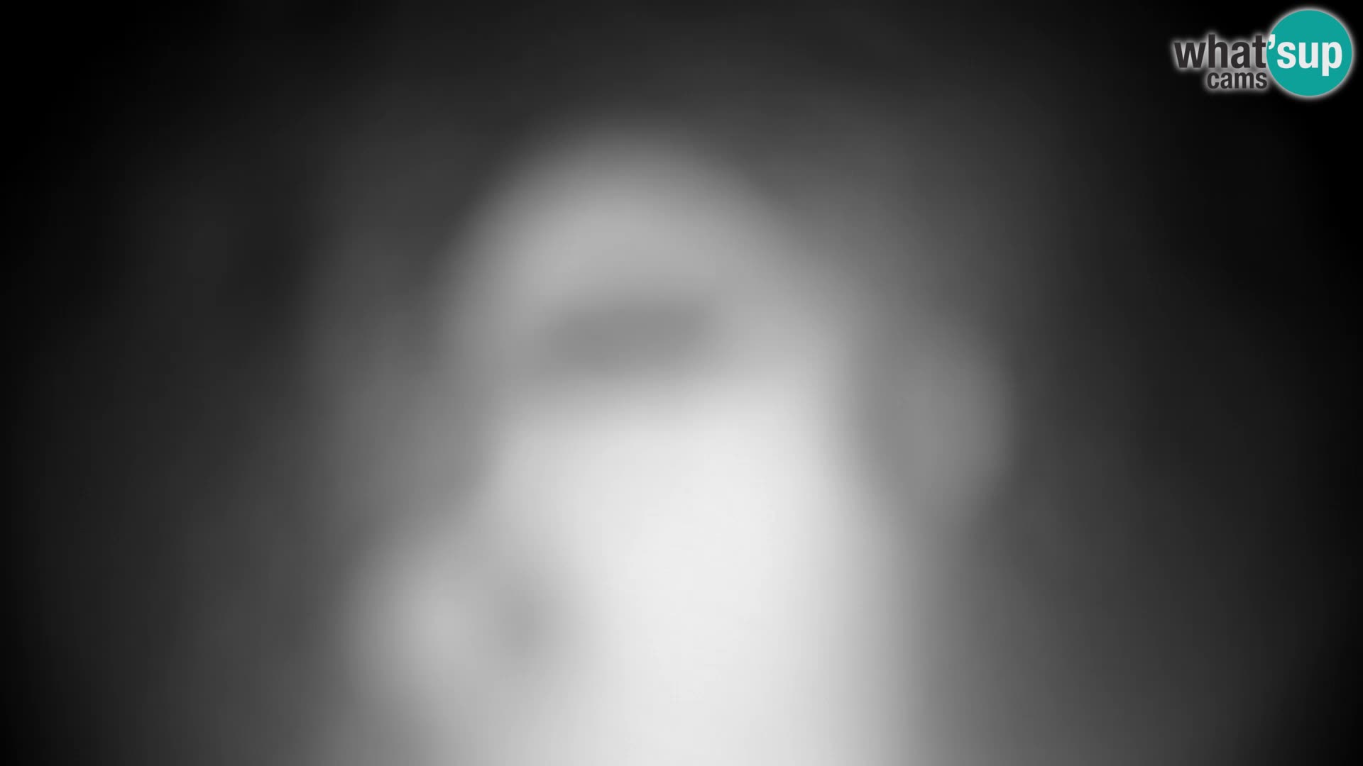 Velika Planina | Gradišče