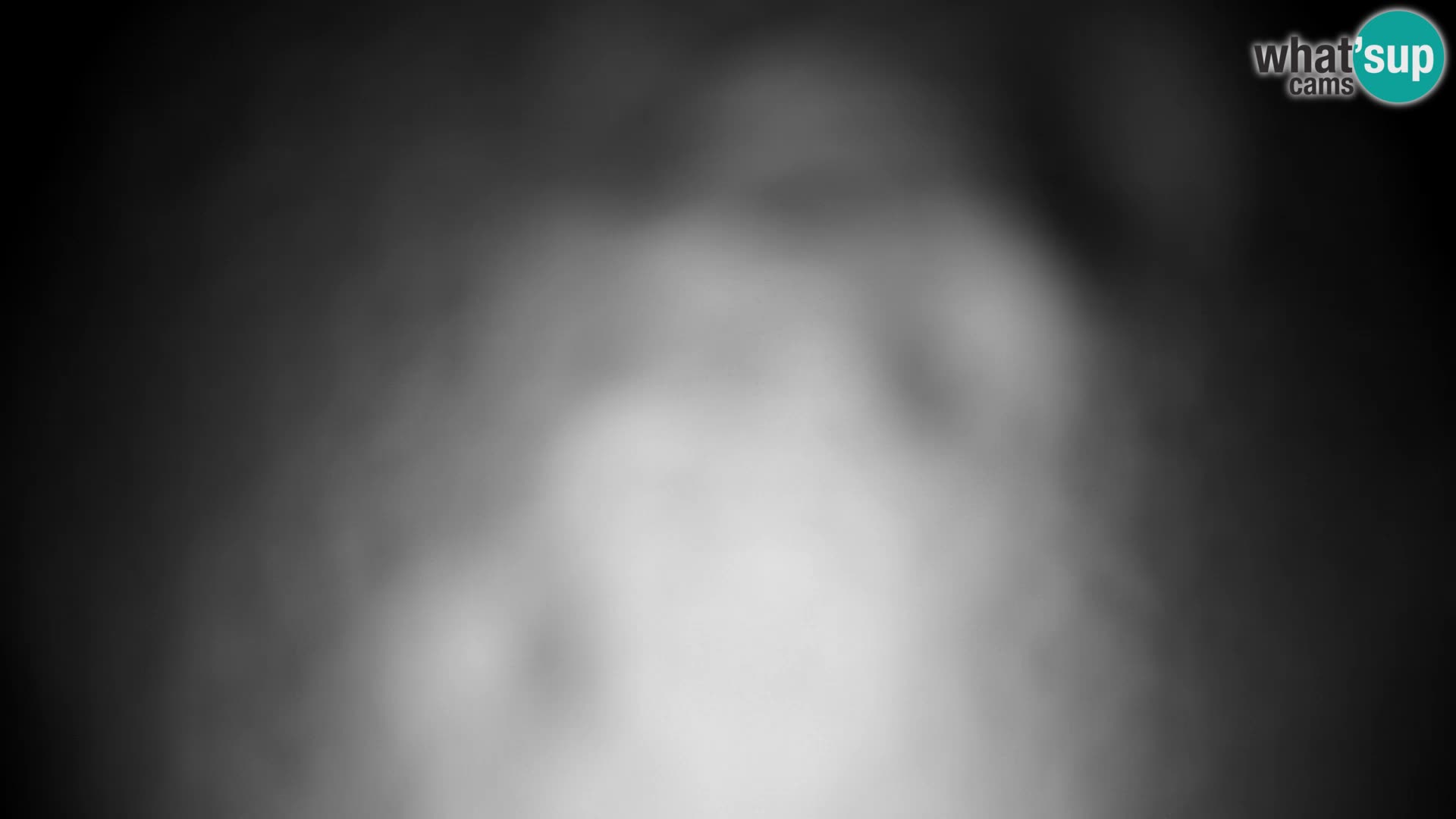 Velika Planina | Gradišče