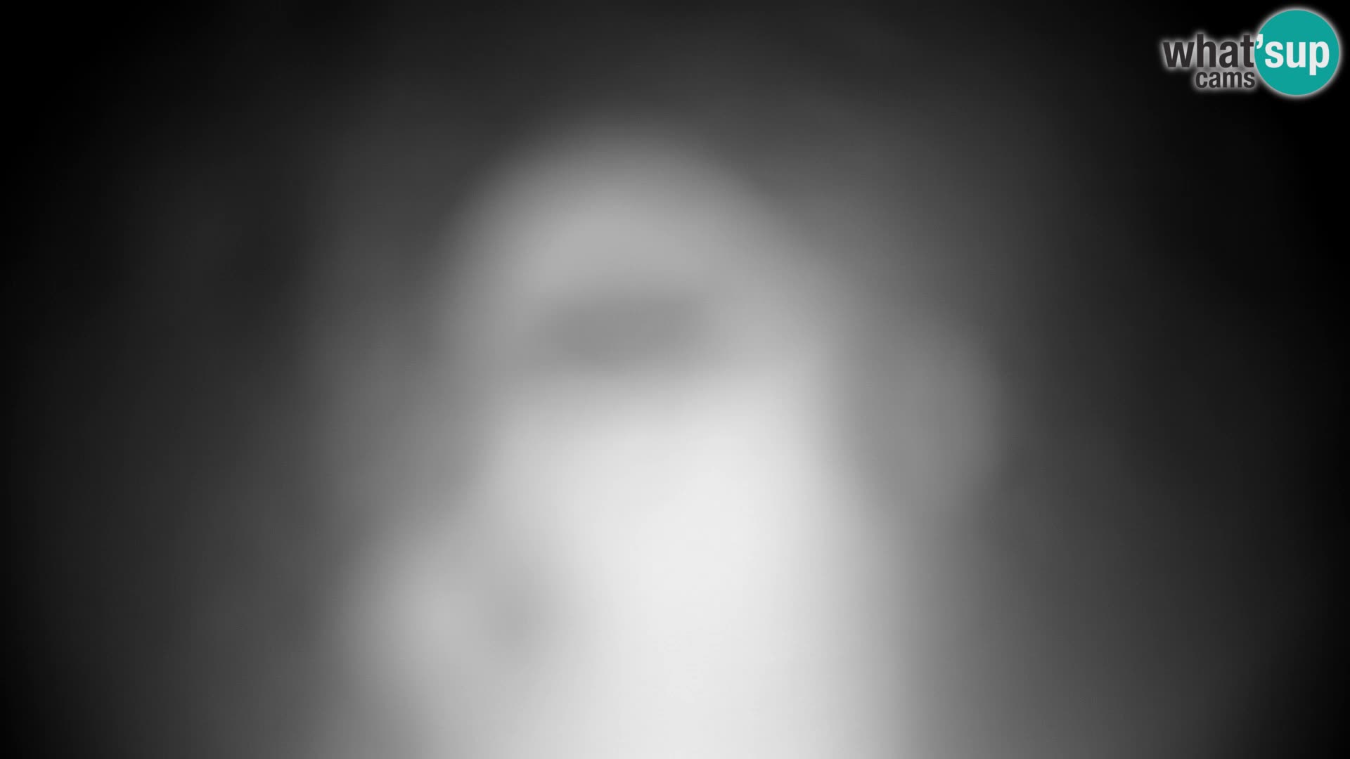 Velika Planina | Gradišče