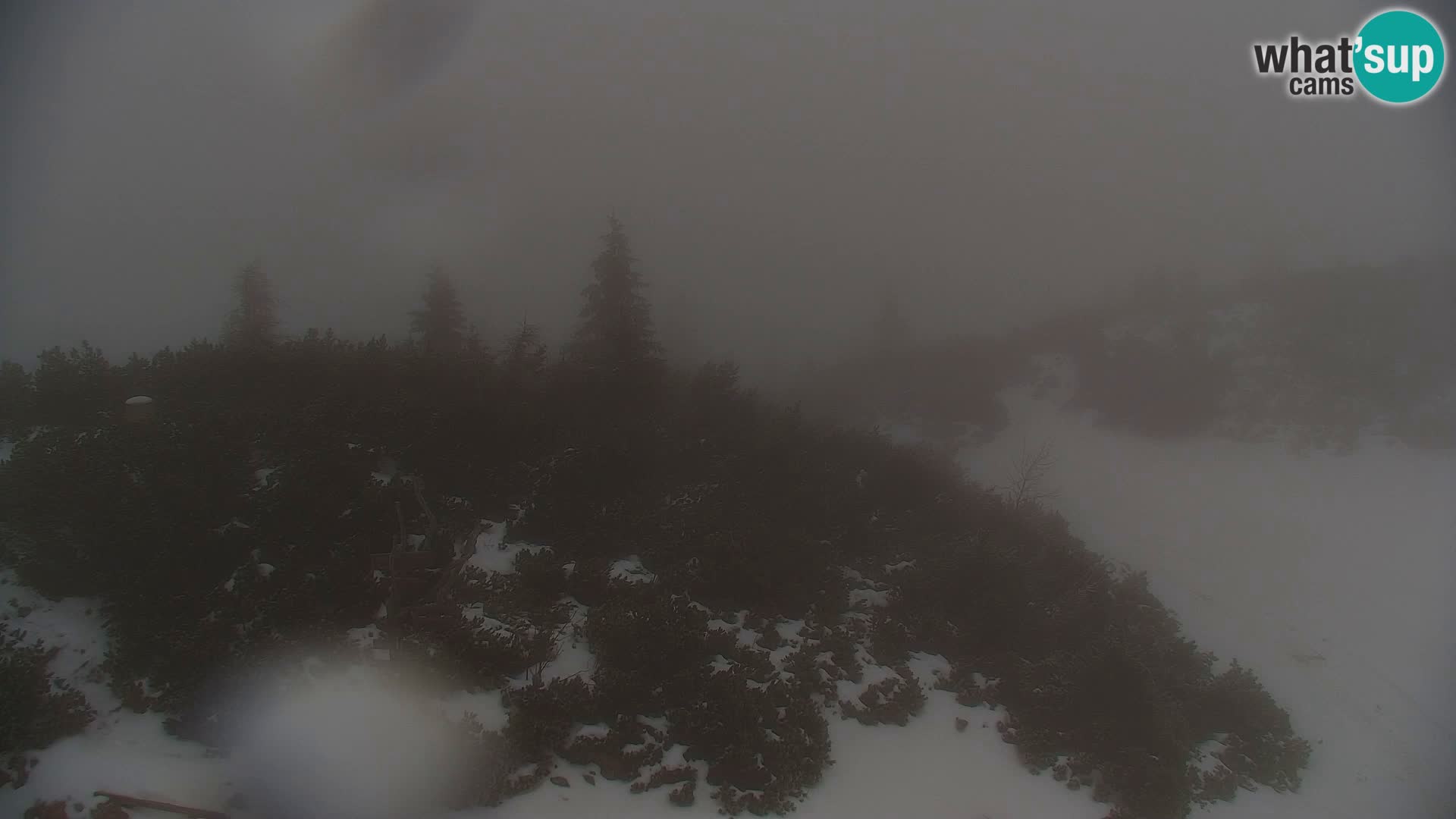 Velika Planina | Gradišče