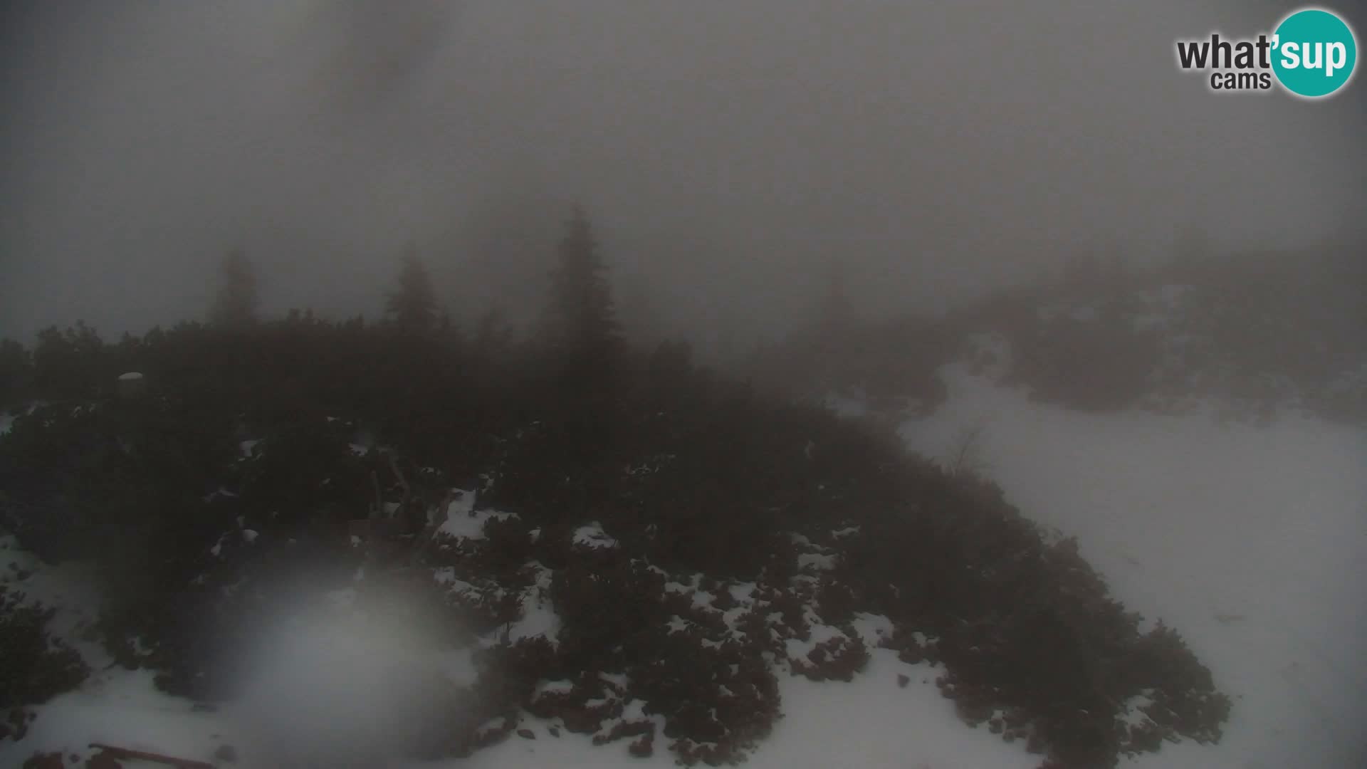 Velika Planina | Gradišče