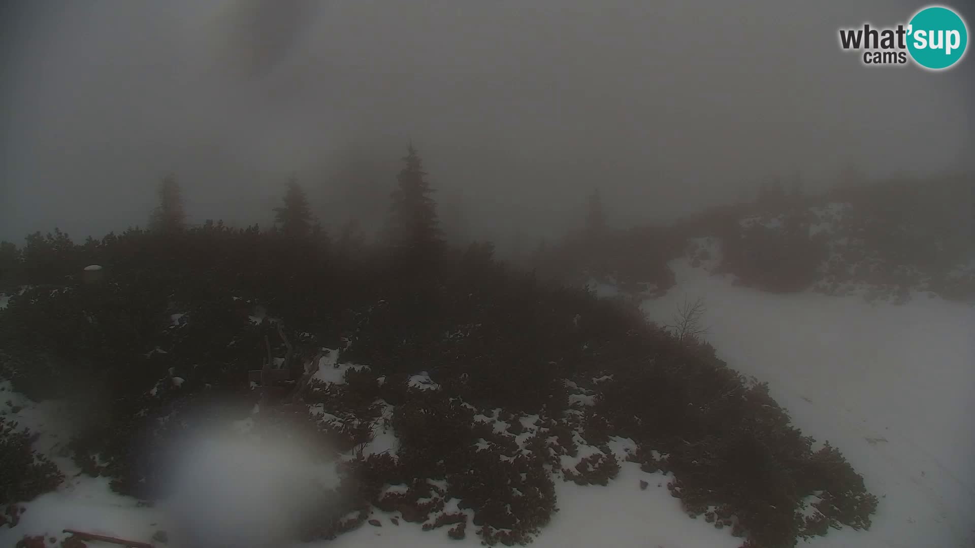 Velika Planina | Gradišče