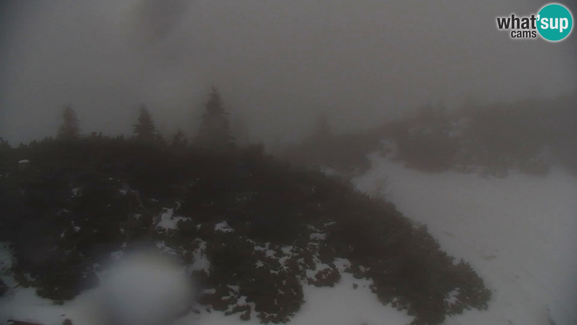 Velika Planina | Gradišče