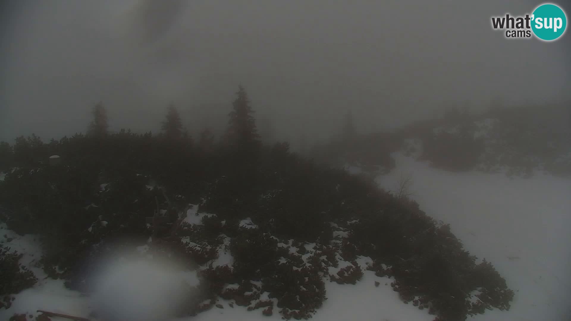 Velika Planina | Gradišče
