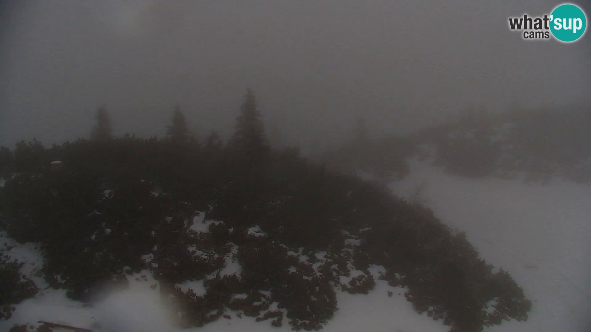 Velika Planina | Gradišče
