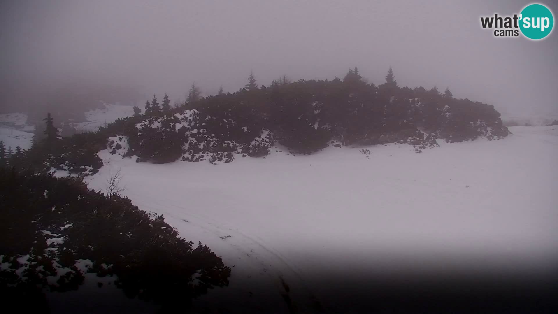 Velika Planina | Gradišče