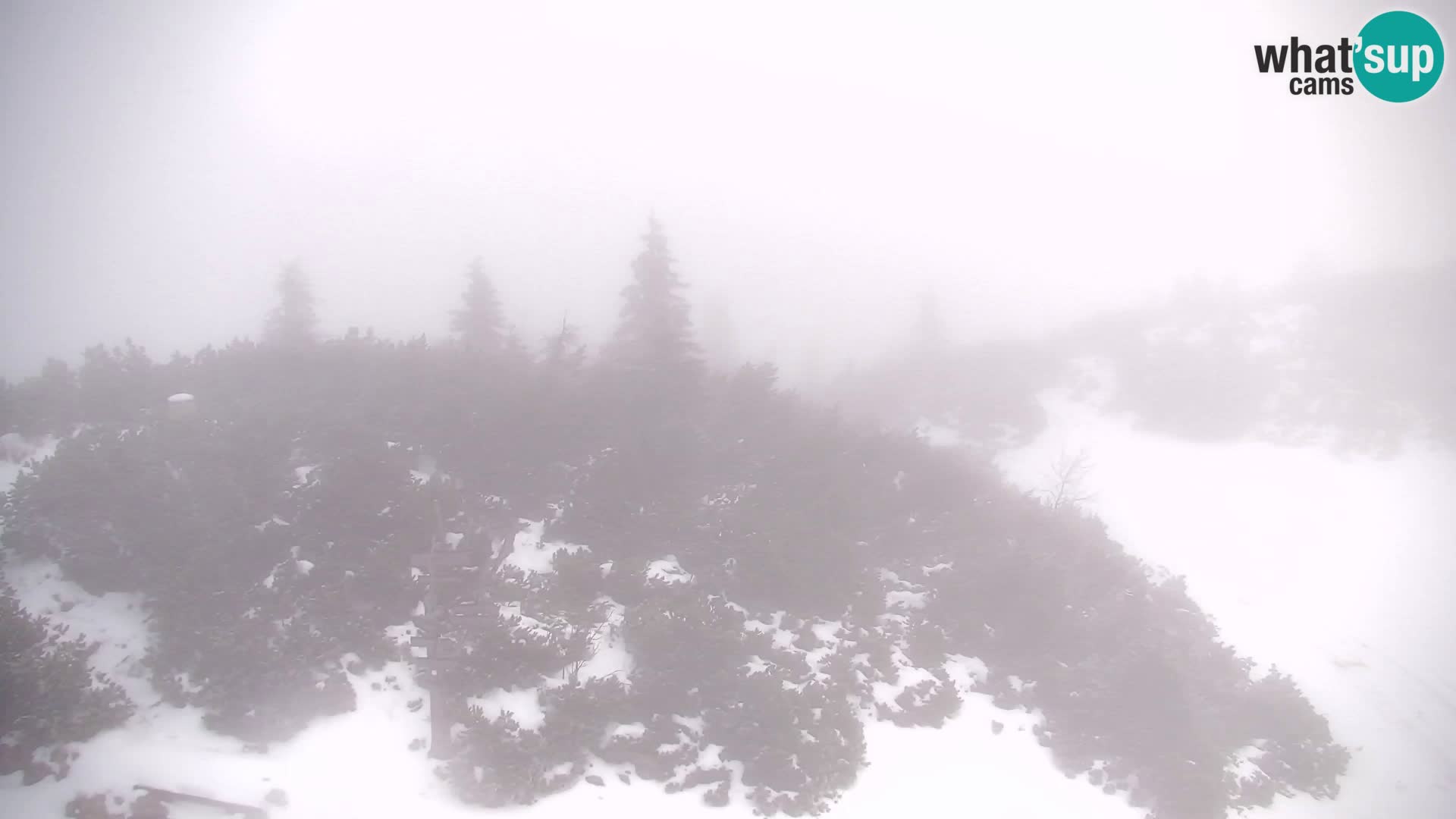 Velika Planina | Gradišče