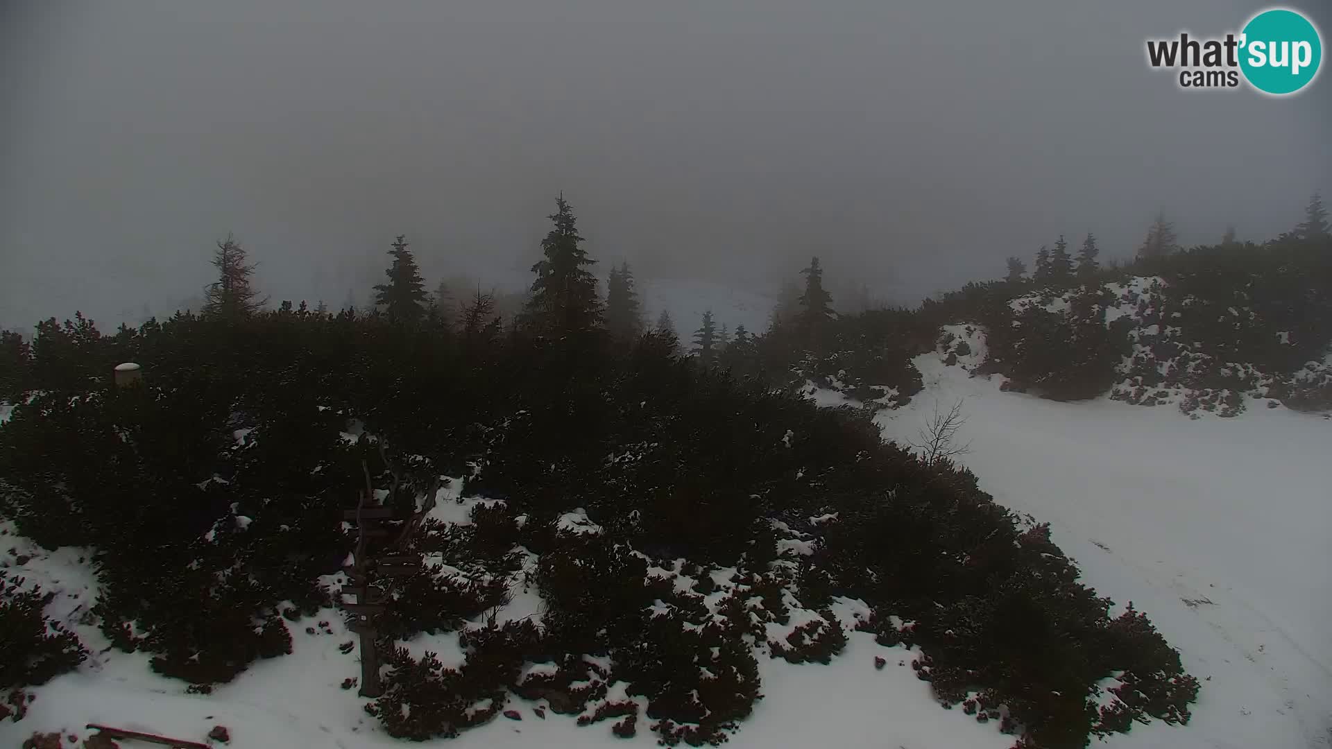 Velika Planina | Gradišče