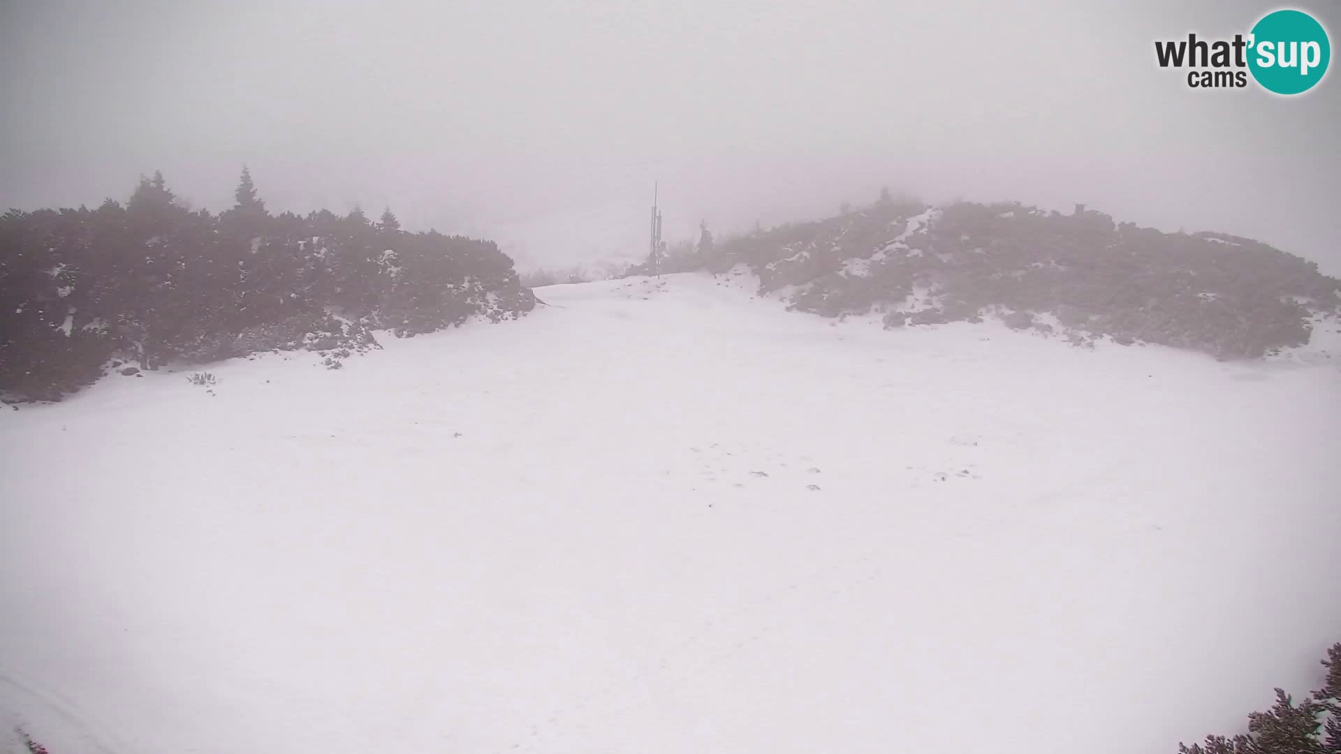 Velika Planina | Gradišče