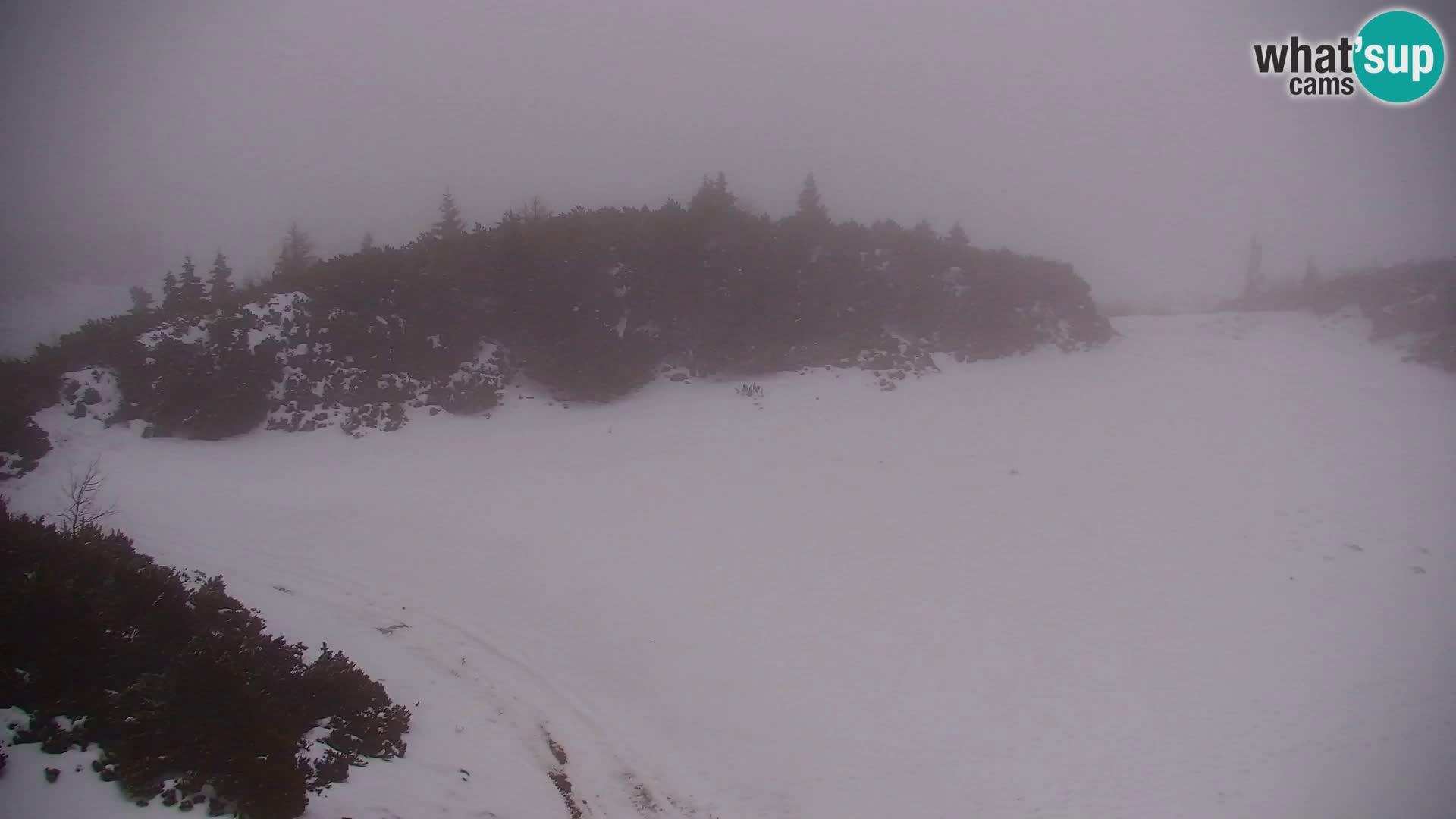 Velika Planina | Gradišče