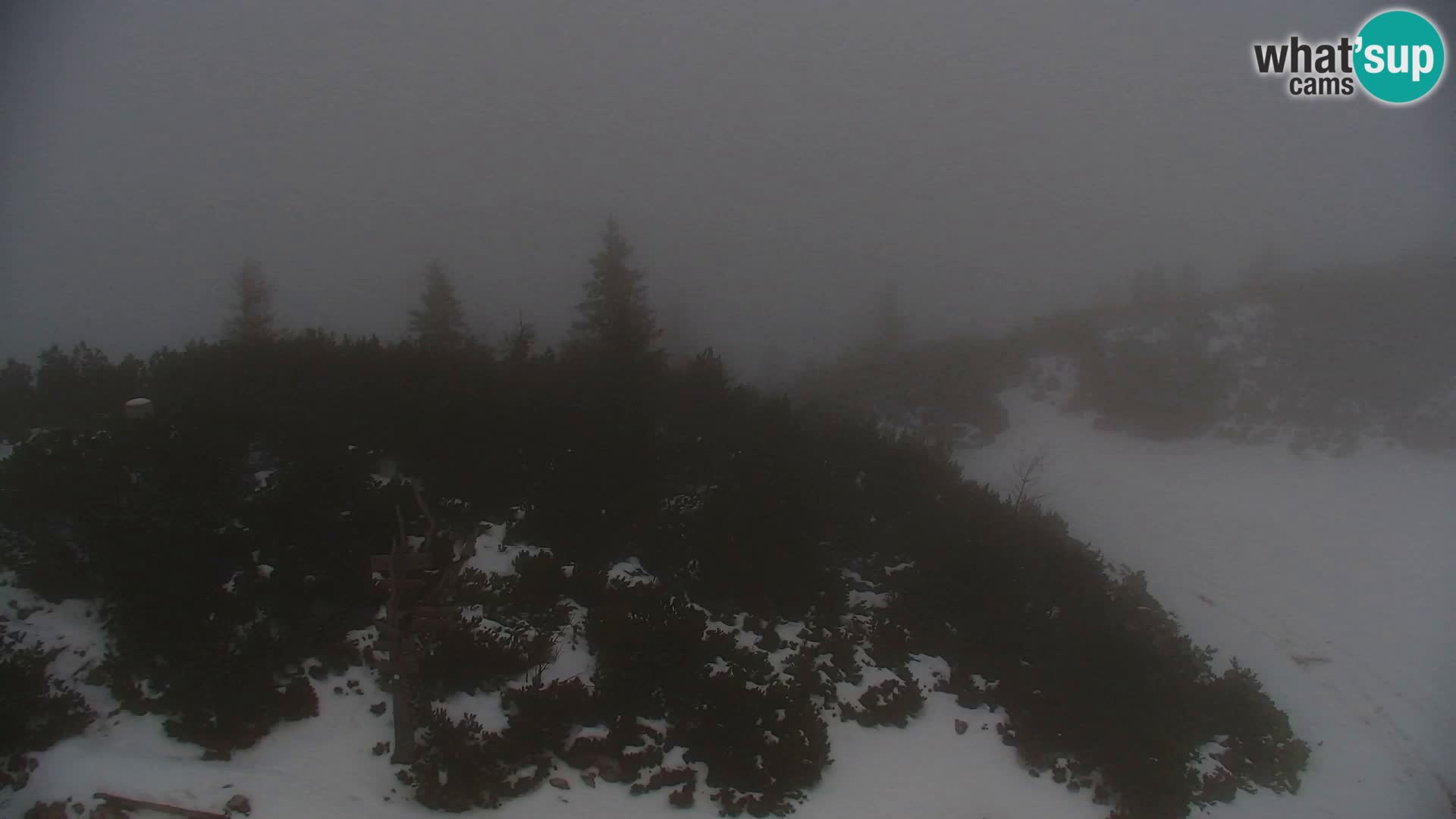 Velika Planina | Gradišče