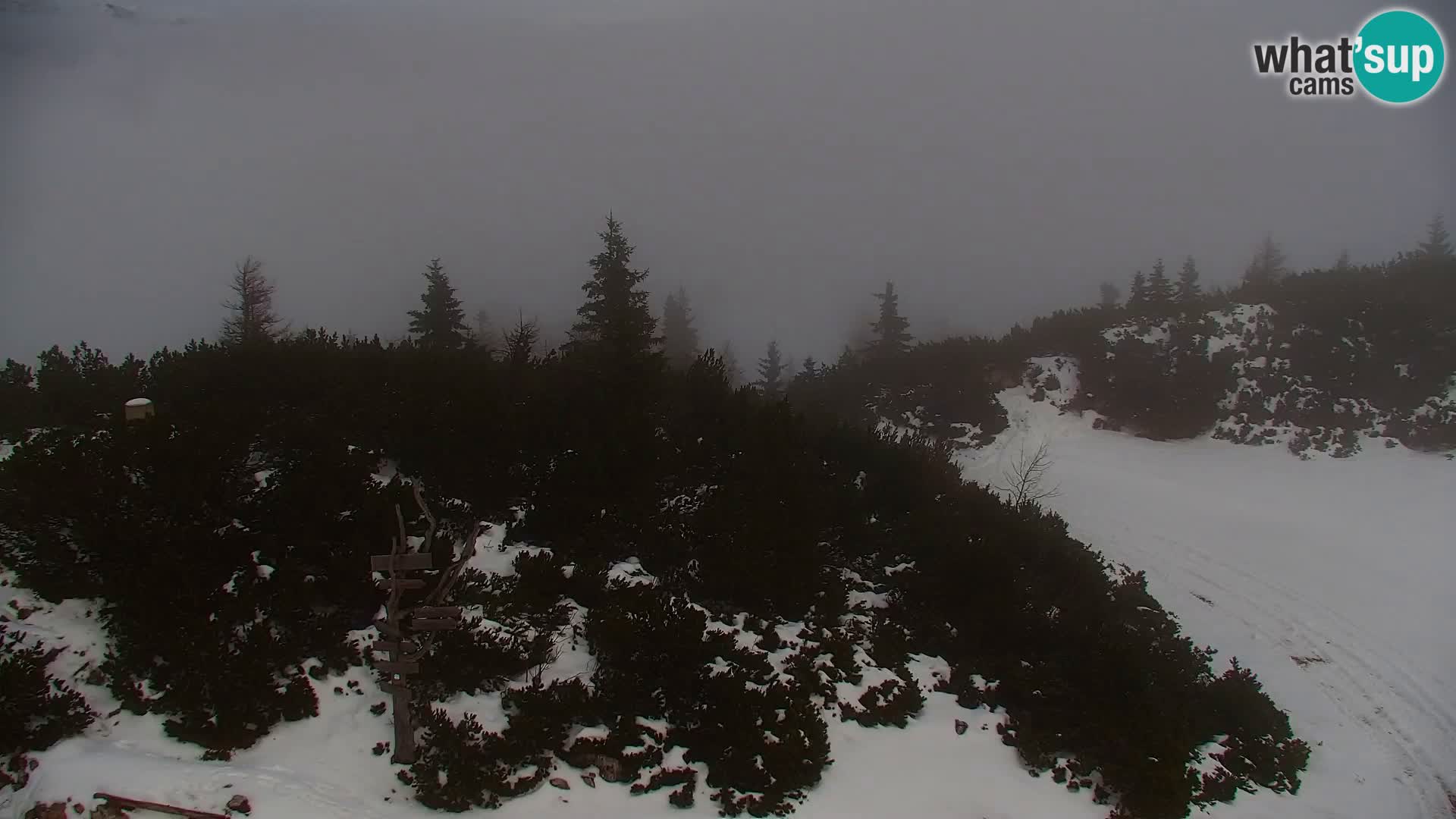 Velika Planina | Gradišče