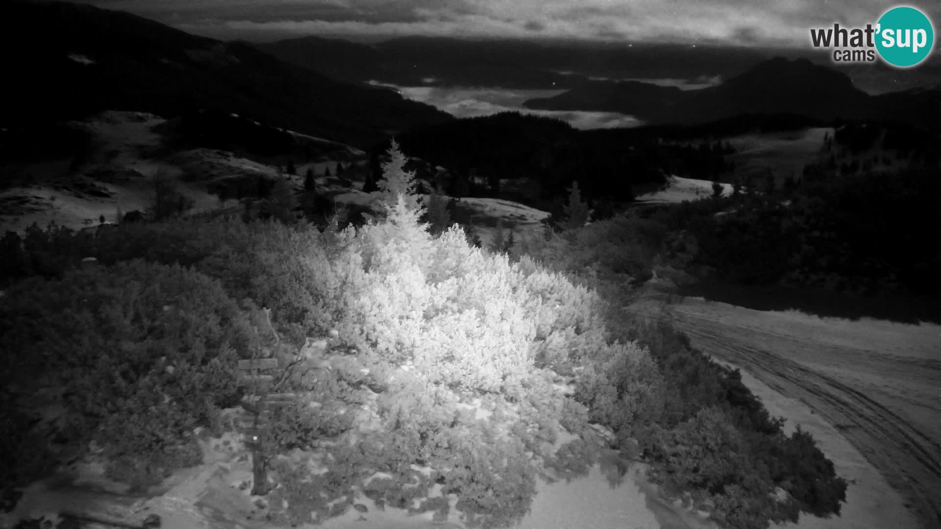 Velika Planina | Gradišče