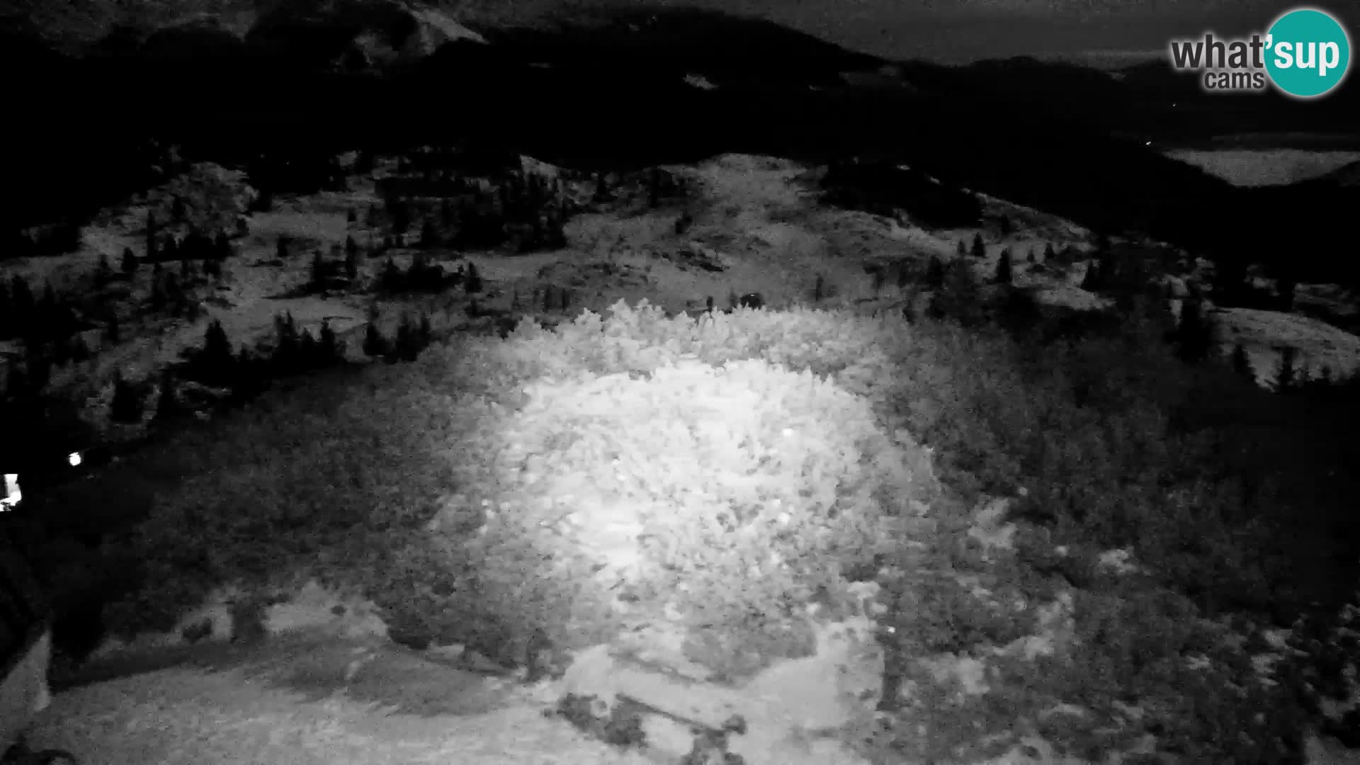 Velika Planina | Gradišče