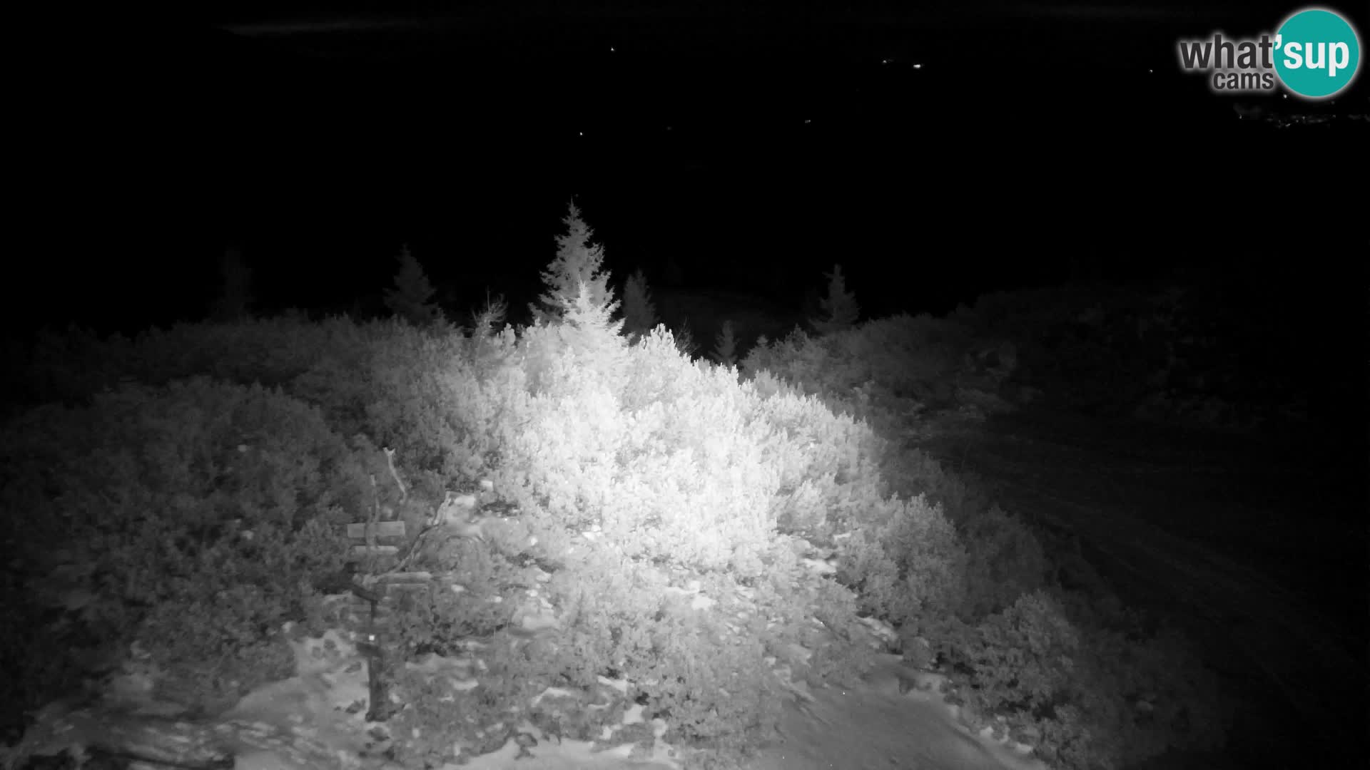 Velika Planina | Gradišče