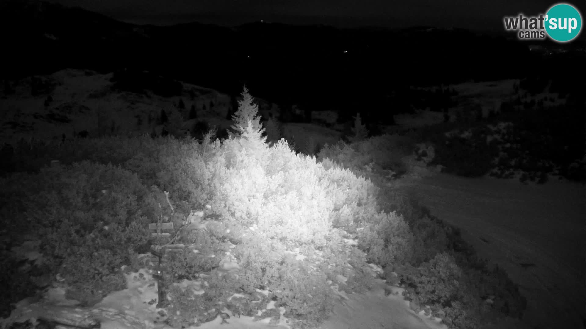 Velika Planina | Gradišče