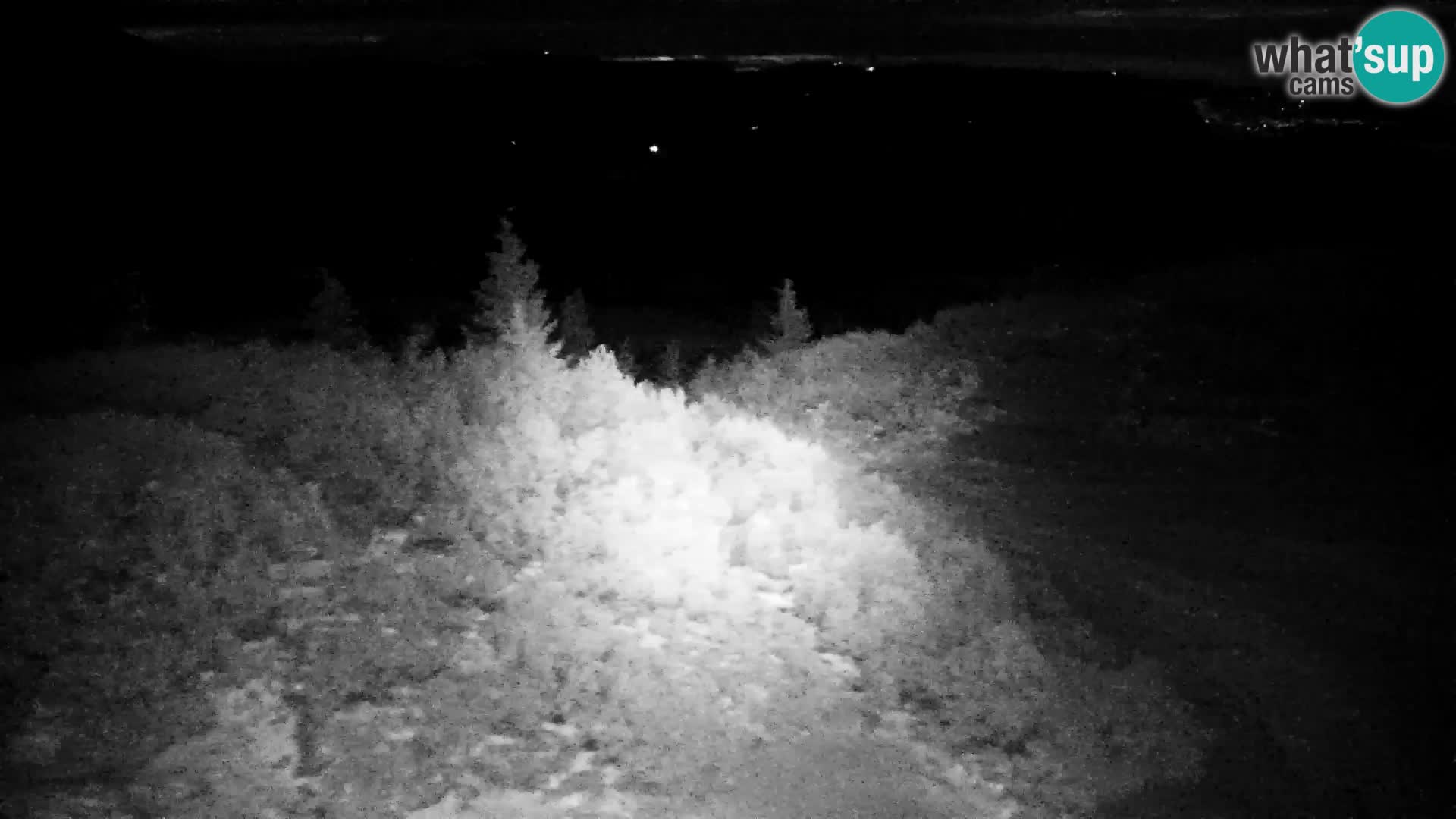 Velika Planina | Gradišče