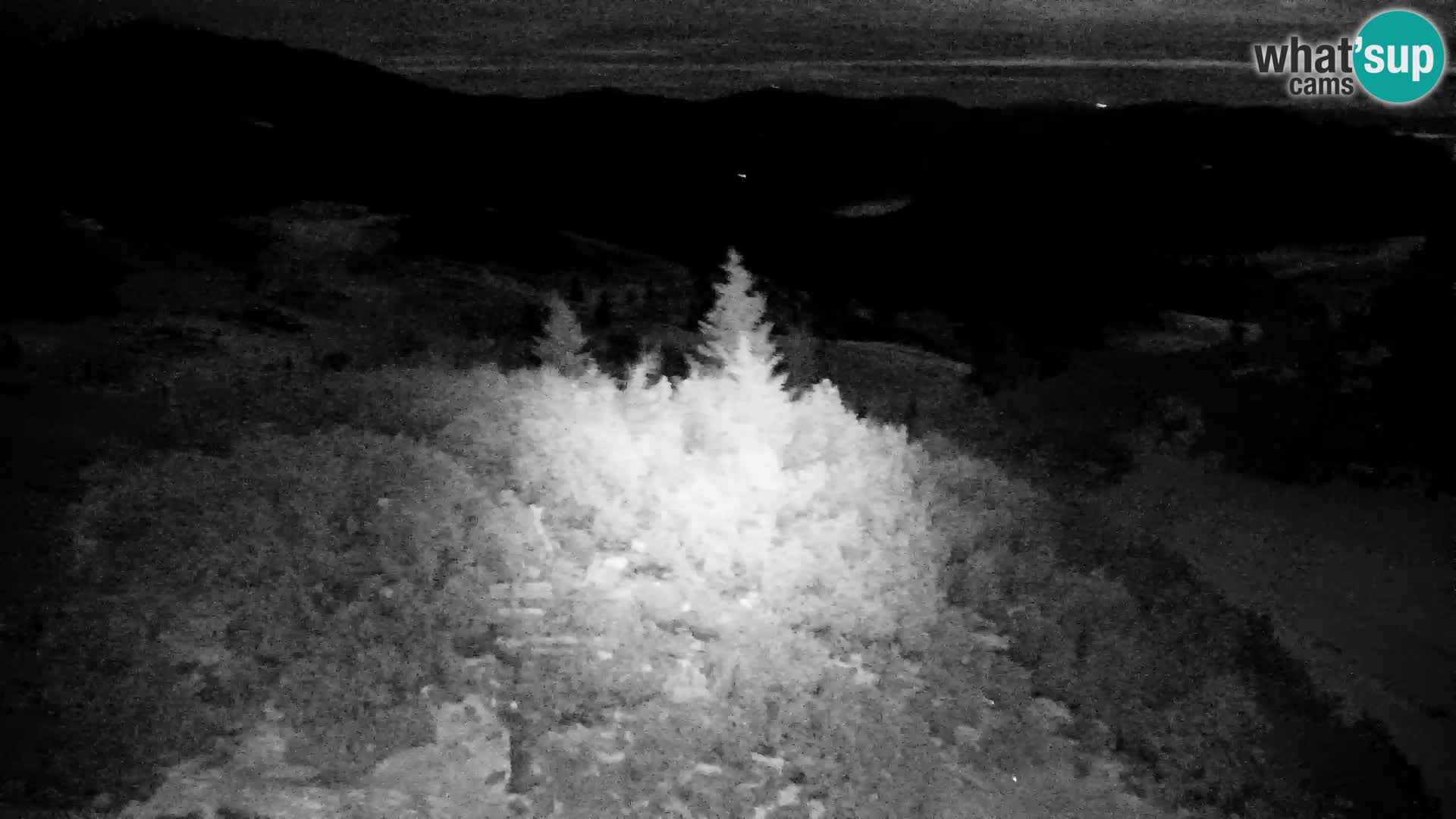 Velika Planina | Gradišče