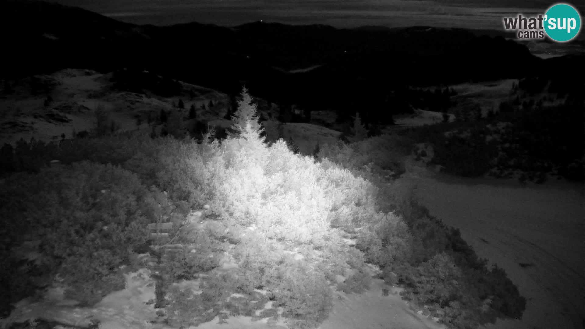 Velika Planina | Gradišče