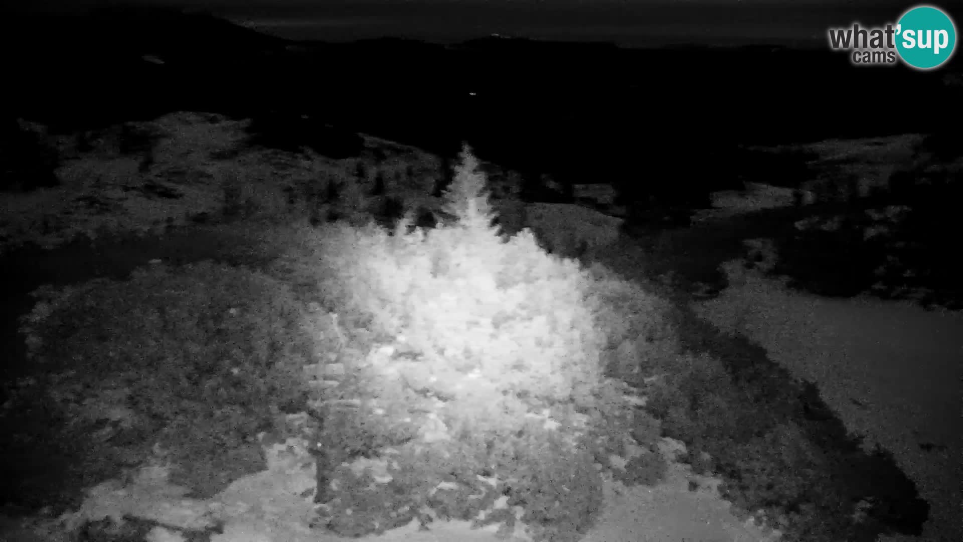 Velika Planina | Gradišče