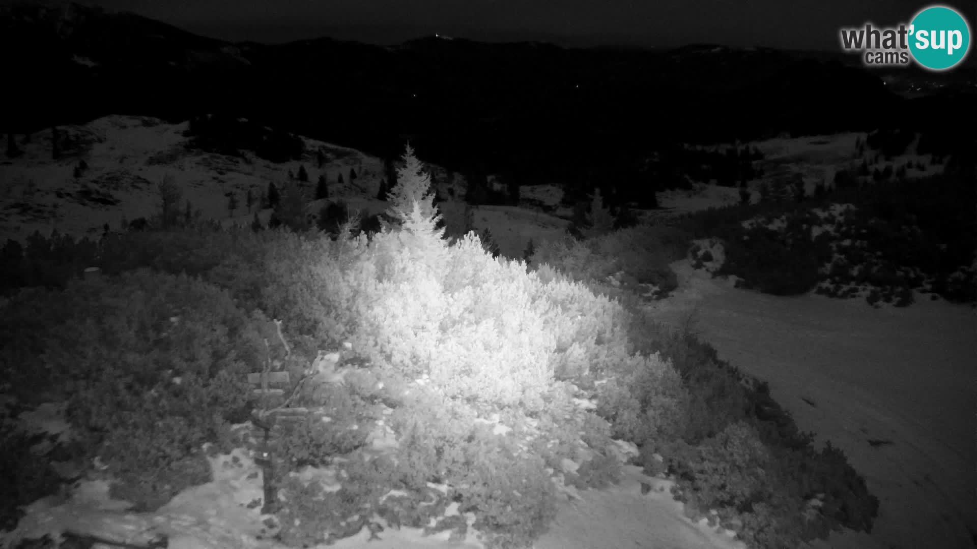 Velika Planina | Gradišče