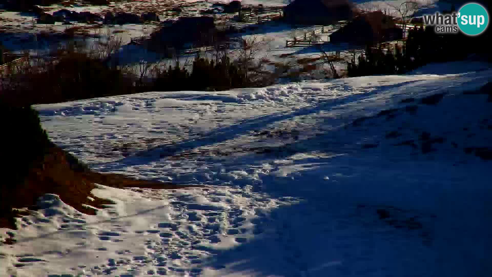 Velika Planina | Gradišče