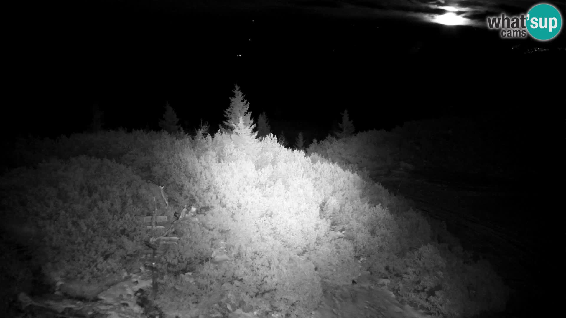 Velika Planina | Gradišče