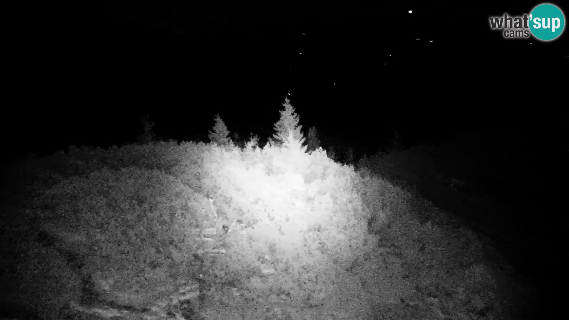 Velika Planina | Gradišče