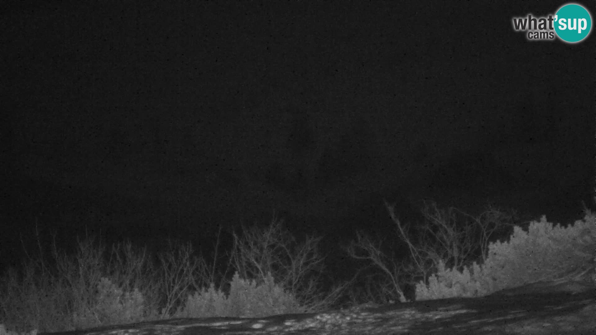 Velika Planina | Gradišče